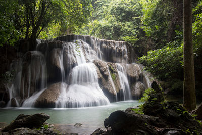 Scenic view of waterfall in forest