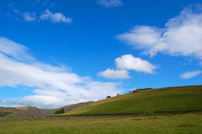 Scenic view of green landscape against blue sky