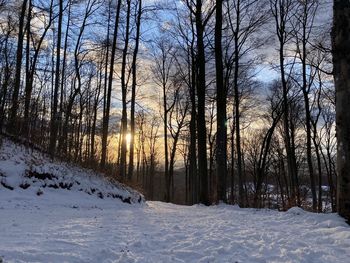 Bare trees on snow covered field against sky