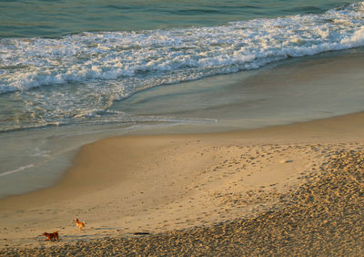 High angle view of beach