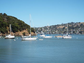 Boats in marina against clear blue sky