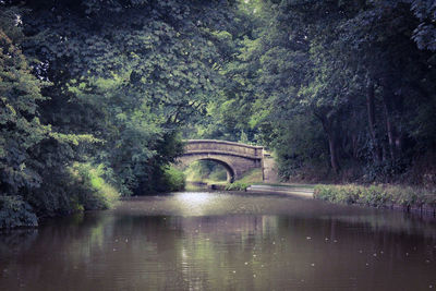 Arch bridge over river in forest