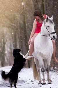 Full length of woman riding horse looking at dog on snow covered field