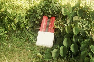 High angle view of vegetables on field