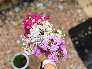 Cropped hand of woman holding flowers