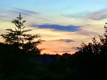 Silhouette trees on landscape against sky at sunset