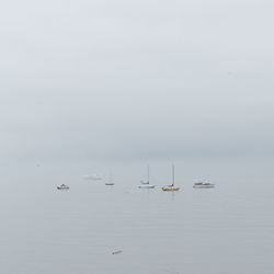 Sailboats in sea against sky