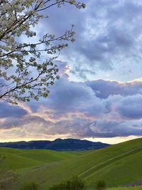 Scenic view of landscape against sky