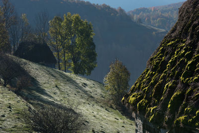mountain