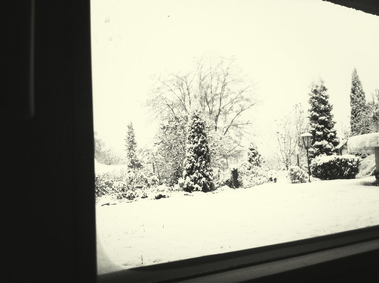 winter, snow, tree, window, cold temperature, bare tree, clear sky, season, indoors, weather, glass - material, silhouette, transparent, house, nature, looking through window, sky, covering, day, built structure