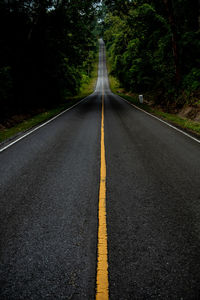 Empty road along trees