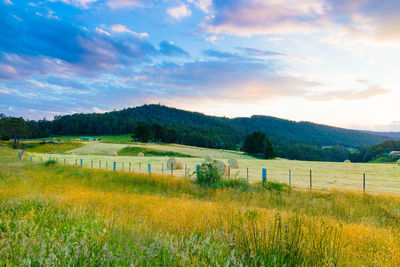 Scenic view of field against sky