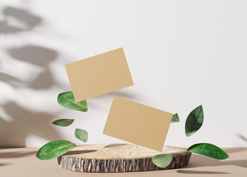 Blank brown cardboard business cards with leaves and plants shadows on white background. mock up