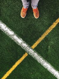 Low section of woman standing on grass