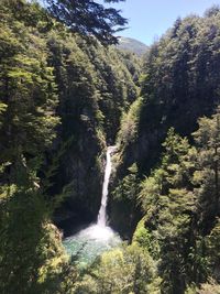 Scenic view of waterfall in forest against sky