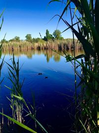 Scenic view of lake against sky