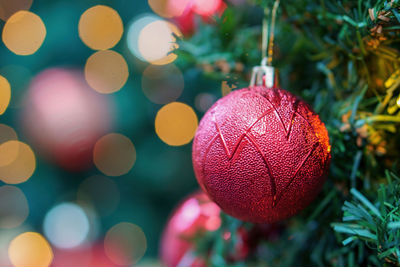 Close-up of christmas tree