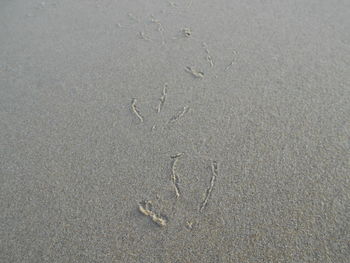 View of sandy beach