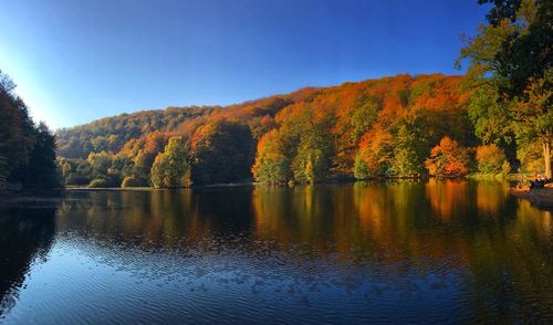 Scenic view of lake by trees against clear sky