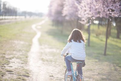 Rear view of woman riding bicycle