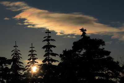 Low angle view of silhouette trees against dramatic sky