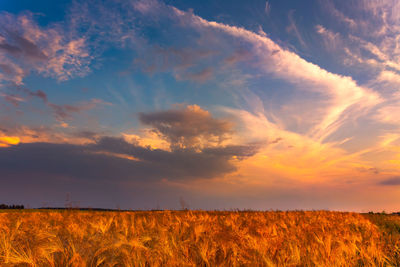 Scenic view of field against sky during sunset