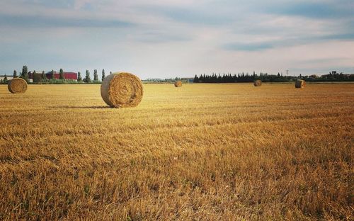 Hay bales on field against sky