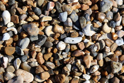 Stoney beach
full frame shot of stones