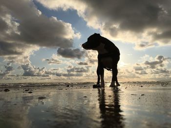 Silhouette man standing on beach against sky during sunset