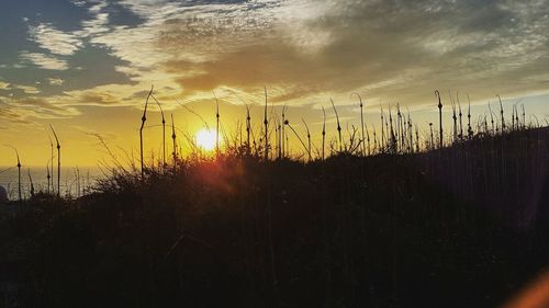 Sun shining through clouds