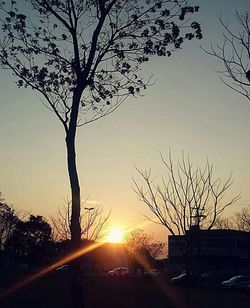 Silhouette bare tree against sky during sunset