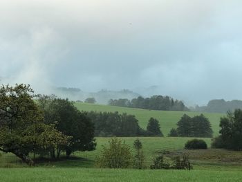 Scenic view of agricultural field against sky