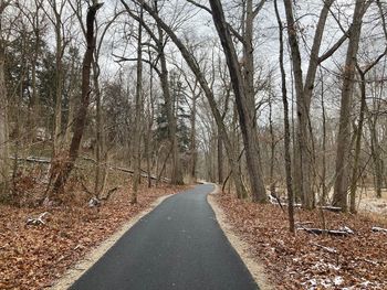 Road amidst trees in forest