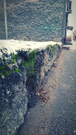 Close-up of plant against built structure