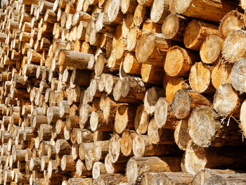 Full frame shot of logs in forest