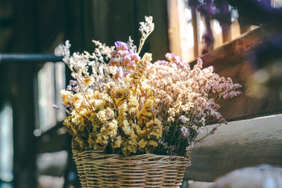 Close-up of flowering plants in basket