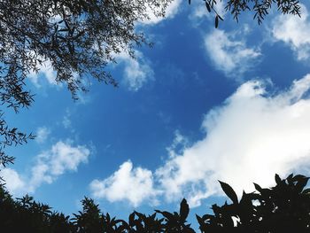Low angle view of silhouette trees against blue sky