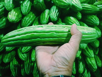 Close-up of hand holding vegetables