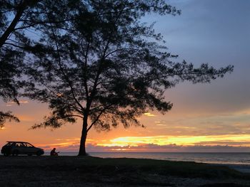 Silhouette tree by sea against sky during sunset