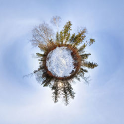 Forest little planet with blue sky