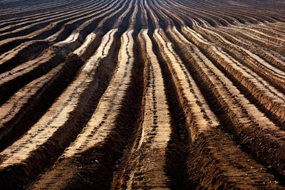 Full frame shot of agricultural field