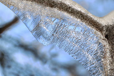 Close-up of icicles