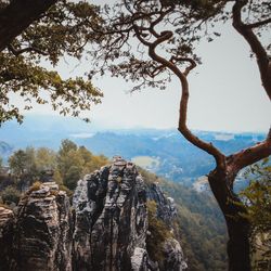 Scenic view of landscape against clear sky