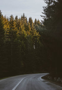 Road amidst trees in forest against sky