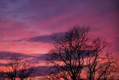 Low angle view of silhouette bare tree against orange sky