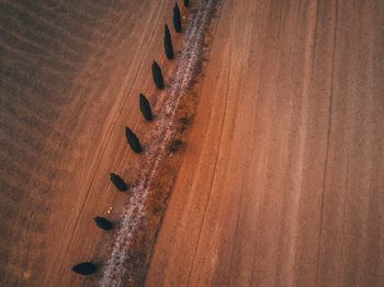 High angle view of footprints on road