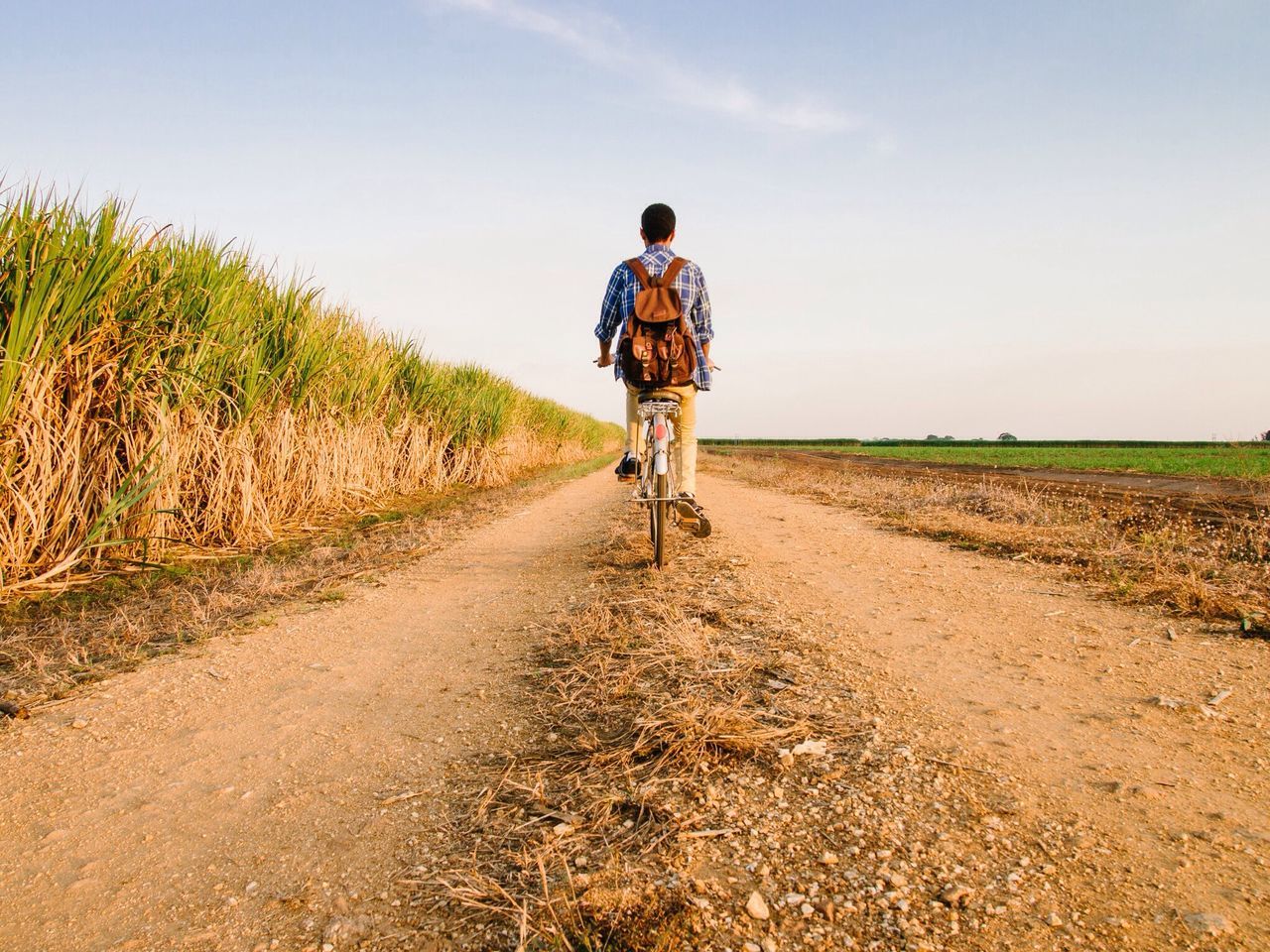 full length, lifestyles, rear view, the way forward, landscape, leisure activity, dirt road, casual clothing, sky, field, walking, rural scene, agriculture, tranquility, men, tranquil scene, nature, grass