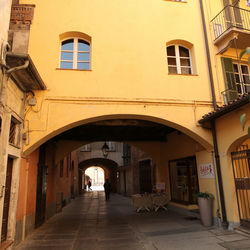 Empty alley amidst buildings in town