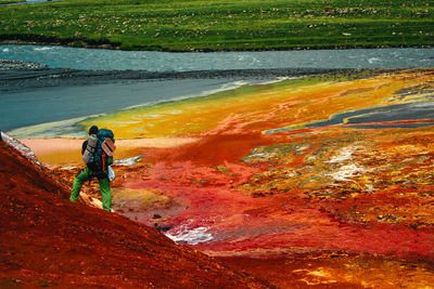 Rear view of man walking on landscape