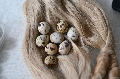 High angle view of eggs in nest